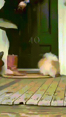 Bewegter Picturedump 392