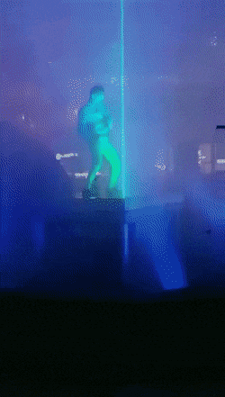 Bewegter Picturedump 392