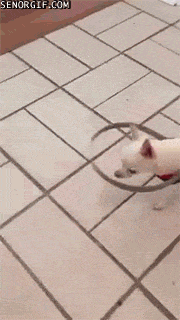 Bewegter Picturedump 392