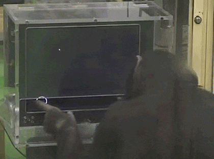 Bewegter Picturedump 392