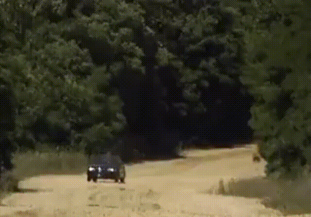 Bewegter Picturedump 392