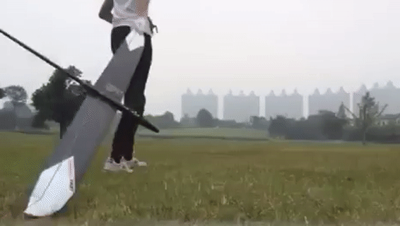 Bewegter Picturedump 418