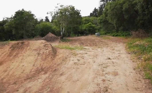 Bewegter Picturedump 418