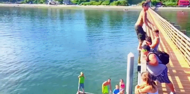 Bewegter Picturedump 418