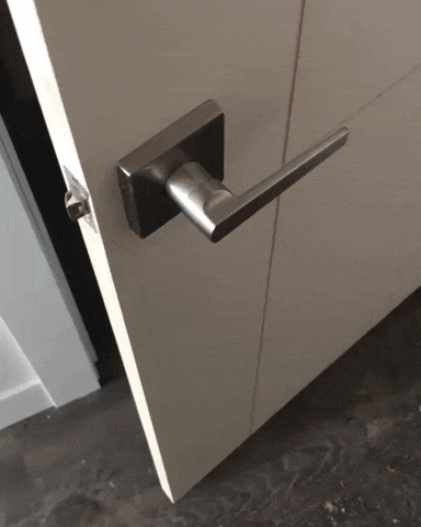 Bewegter Picturedump 418