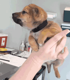 Bewegter Picturedump 418