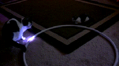 Bewegter Picturedump 418