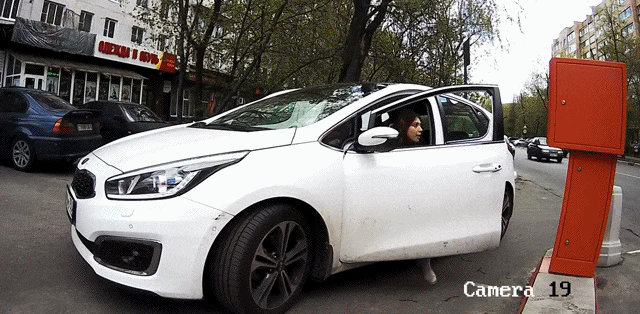 Bewegter Picturedump 379