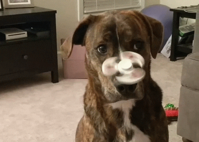 Bewegter Picturedump 379