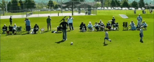 Bewegter Picturedump 379