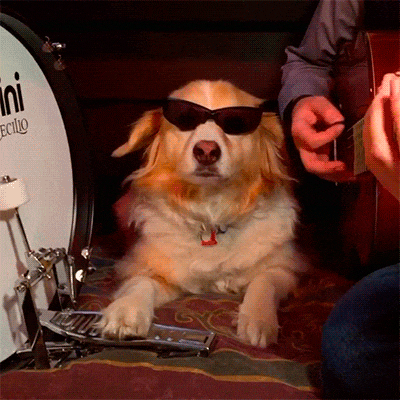 Bewegter Picturedump 379