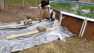 Bewegter Picturedump 492