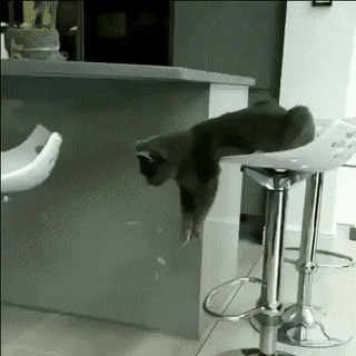 Bewegter Picturedump 492