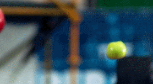 Bewegter Picturedump 492