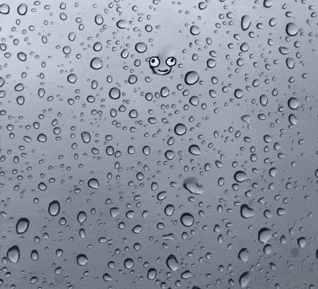 Bewegter Picturedump 492