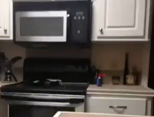 Bewegter Picturedump 492