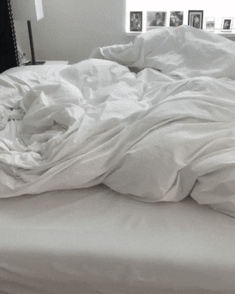 Bewegter Picturedump 492