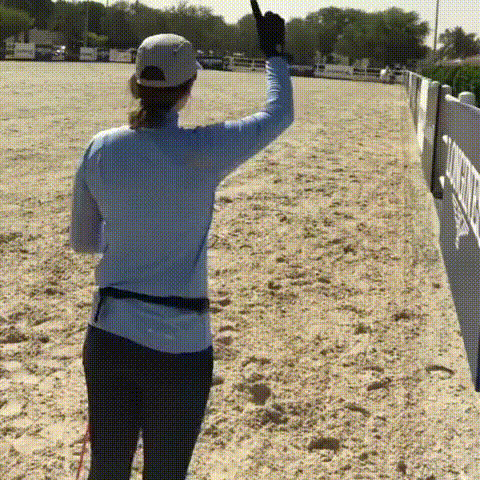 Bewegter Picturedump 492