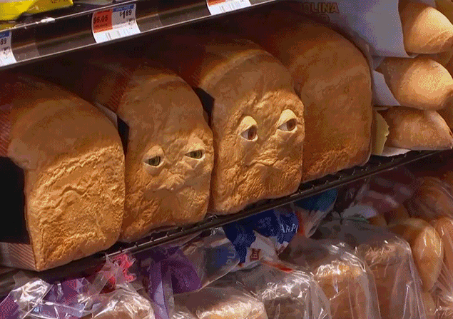 Bewegter Picturedump 353