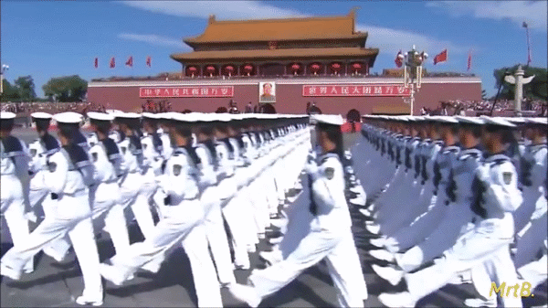 Bewegter Picturedump 353