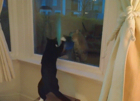 Bewegter Picturedump 353