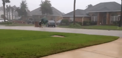 Bewegter Picturedump 353