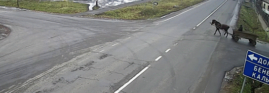 Bewegter Picturedump 353