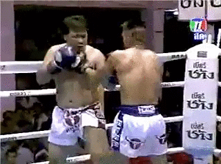 Bewegter Picturedump 353