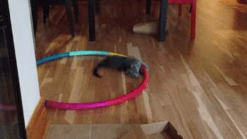 Bewegter Picturedump 366