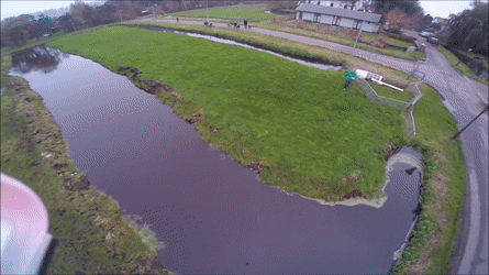 Bewegter Picturedump 366