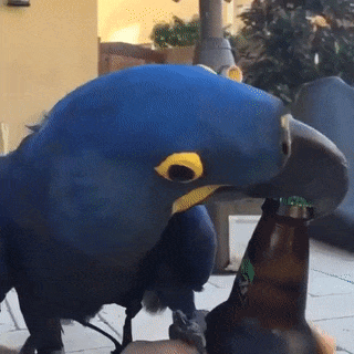 Bewegter Picturedump 366