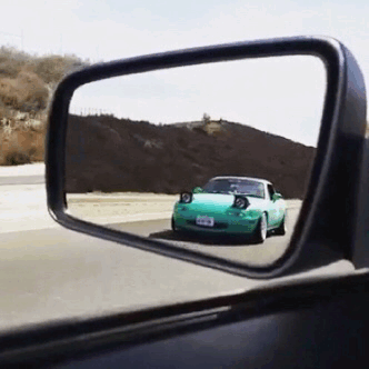 Bewegter Picturedump 366