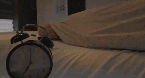 Bewegter Picturedump 366