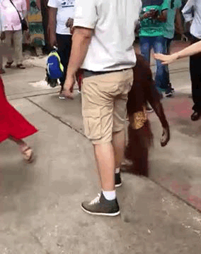 Bewegter Picturedump 366