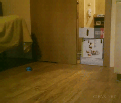 Bewegter Picturedump 266