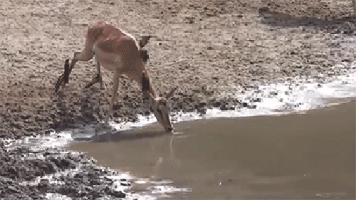 Bewegter Picturedump 279