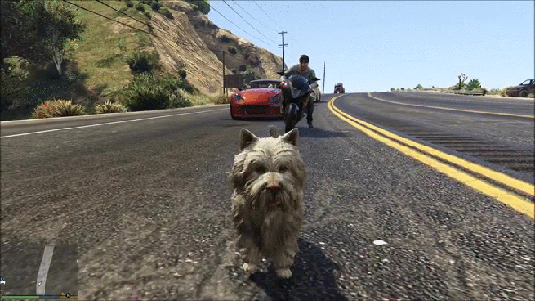 Bewegter Picturedump 279