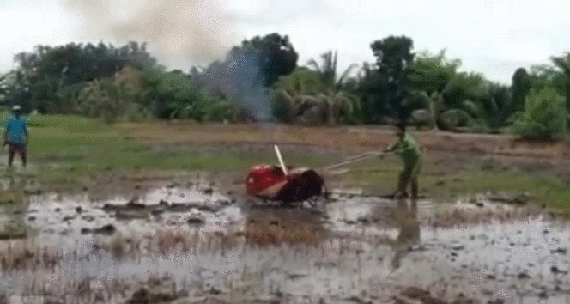 Bewegter Picturedump 279