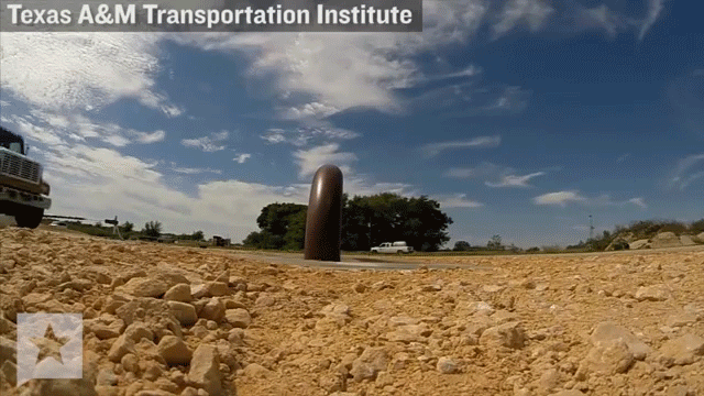 Bewegter Picturedump 240