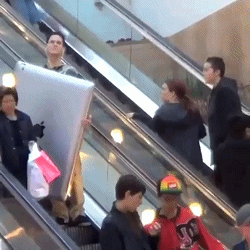 Bewegter Picturedump 240