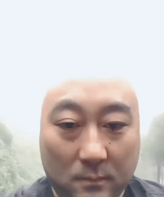 Bewegter Picturedump 462