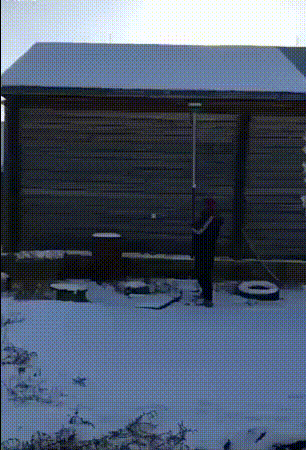 Bewegter Picturedump 462