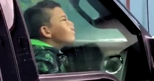 Bewegter Picturedump 462