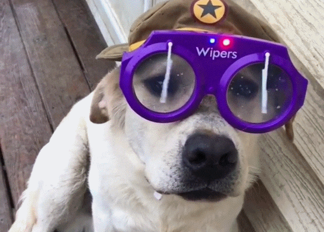 Bewegter Picturedump 462