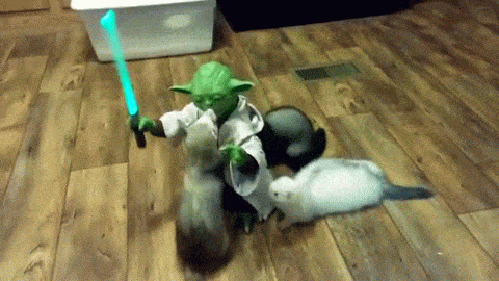 Bewegter Picturedump 462