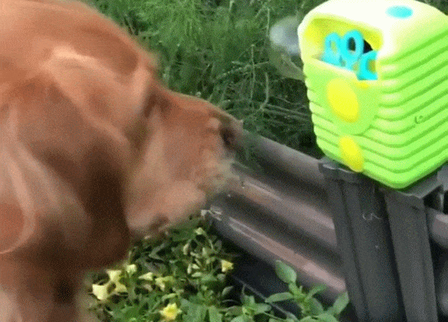 Bewegter Picturedump 427