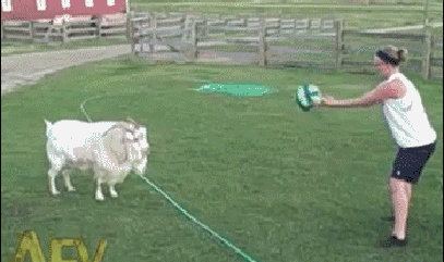 Bewegter Picturedump 427