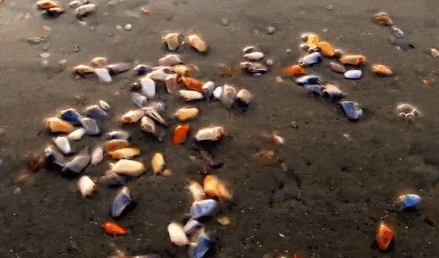 Bewegter Picturedump 427