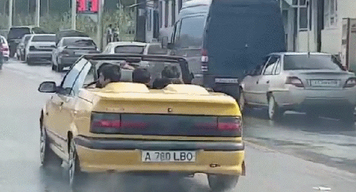 Bewegter Picturedump 427