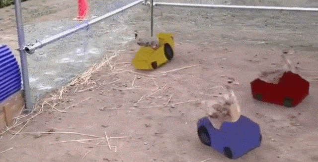 Bewegter Picturedump 427